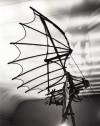hayward-b&wpic-