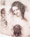 Leonardo_da_vinci,_Head_of_Leda